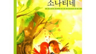 놓치면 후회! 포인트소나티네스프링 솔직 후기 & 꿀팁🍯