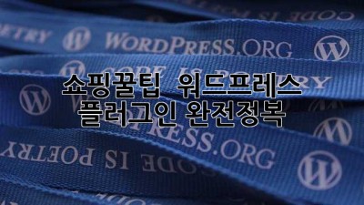 쇼핑꿀팁 🍯 워드프레스 플러그인 완전정복!