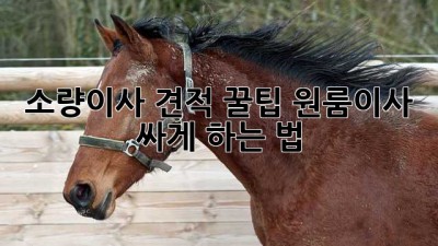 소량이사 견적 꿀팁🍯 원룸이사 싸게 하는 법!